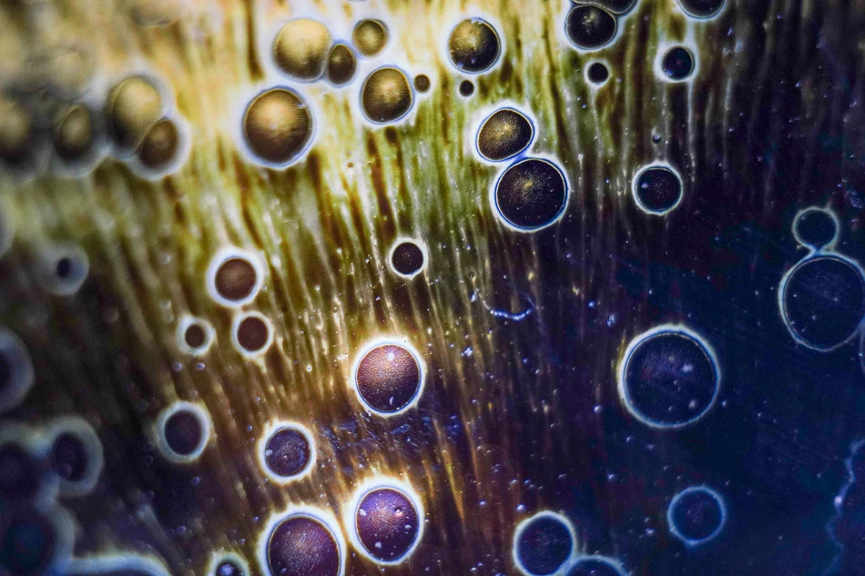 A Universe in a Teacup: Stunning Macro Photos of Tenmoku Glazes